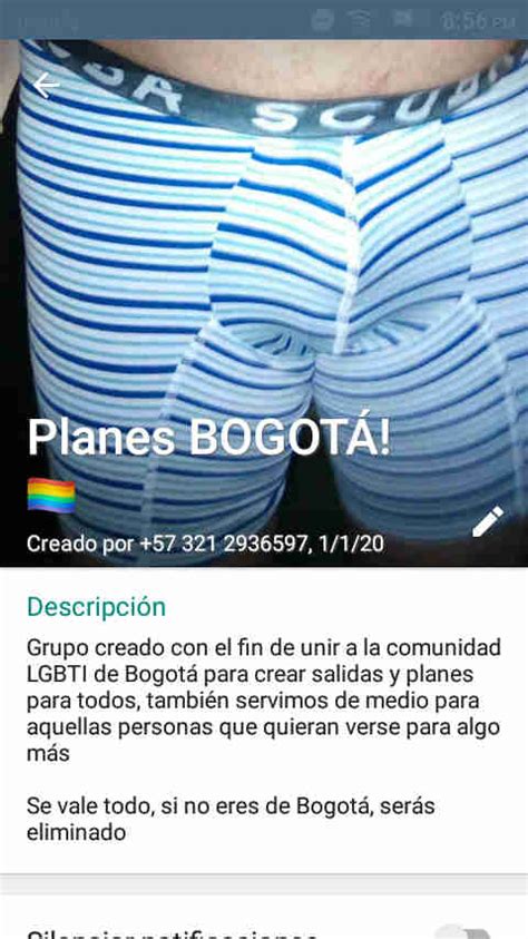 whatsapp gay en bogota